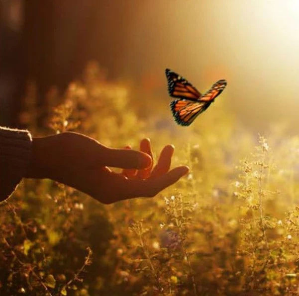 Beyond the Obituary: How to Preserve a Loved One’s Legacy